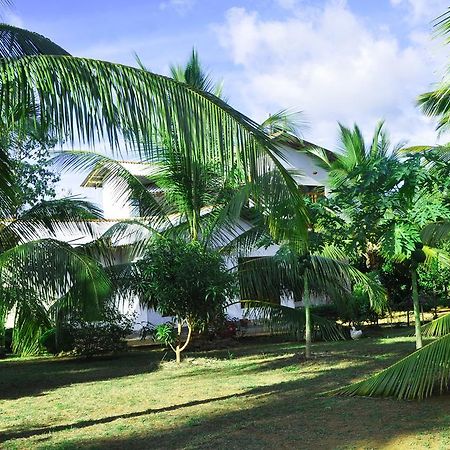Coconut Garden House Hotell Udawalawe Eksteriør bilde
