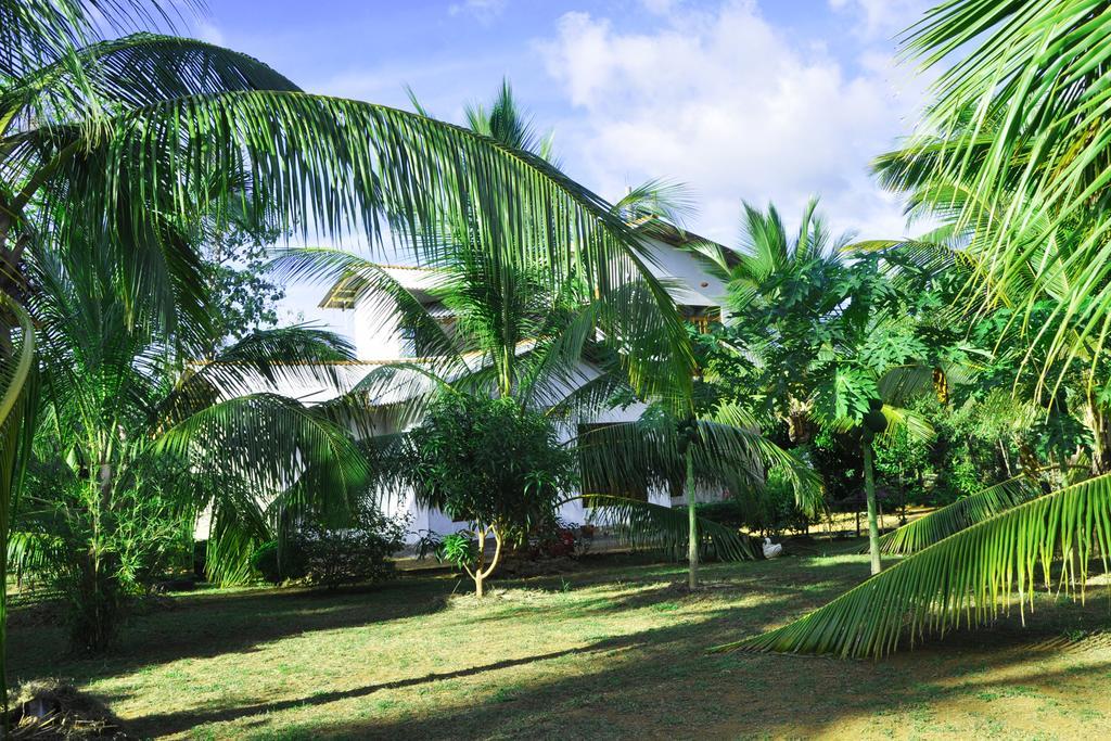 Coconut Garden House Hotell Udawalawe Eksteriør bilde