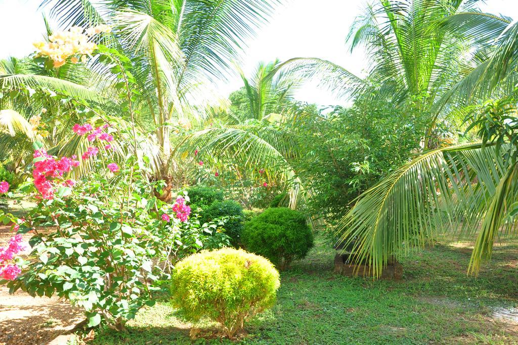 Coconut Garden House Hotell Udawalawe Eksteriør bilde