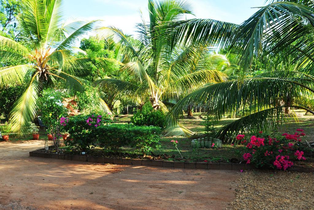 Coconut Garden House Hotell Udawalawe Eksteriør bilde