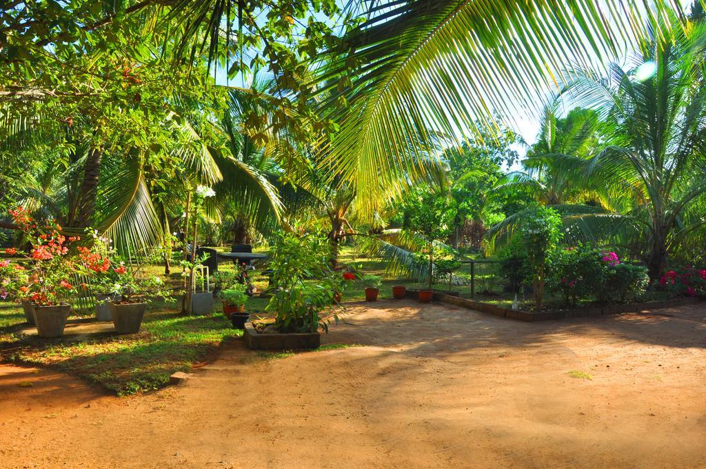 Coconut Garden House Hotell Udawalawe Eksteriør bilde