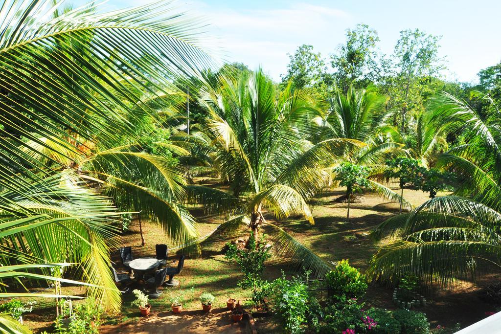 Coconut Garden House Hotell Udawalawe Eksteriør bilde